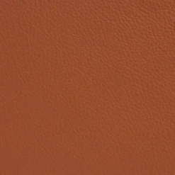 Butaca Sunny con reposabrazos, Piel color cognac con base cromada*Lammhults New