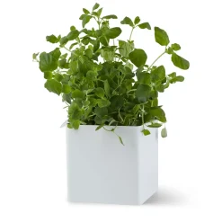 Caja Flex Box pequeña 10,5 cm,*Gejst Sale