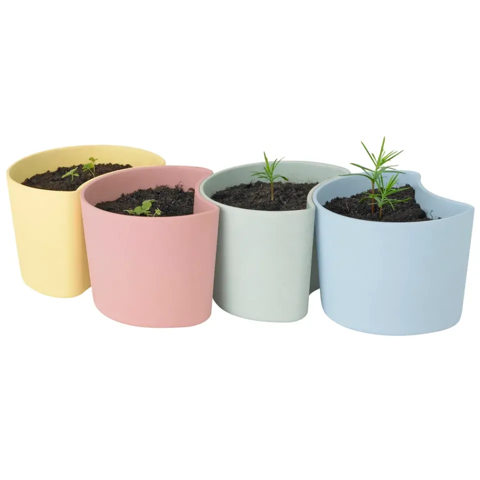 Maceta con semillas YOUR TREE, (pino)*RIG-TIG Outlet
