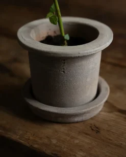 Maceta de terracota con plato, Ø12 × 10 cm*ERNST Online