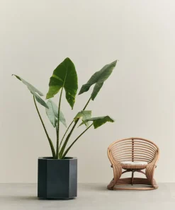 Maceta Funki L 52 cm, Raw Iron*Louise Roe Best