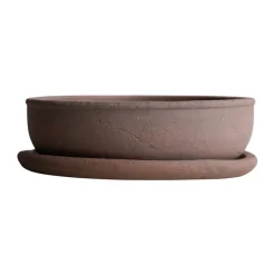 Maceta Terra bowl, Brown, Ø30 × 10,5 cm*DBKD