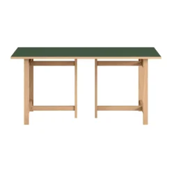 Mesa de comedor Rectangular, Green, 160x90 cm*MOEBE Best