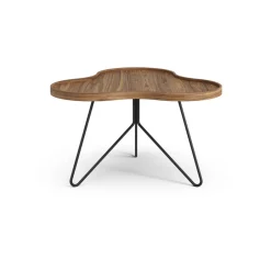 Mesa Flower mono Edición Especial 62x66 cm, H39 cm-nogal lacado-acero lacado en negro*Swedese Clearance