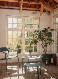 Silla lounge NOVO, Forest*AYTM New
